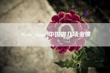 韩城中国哪几项金牌