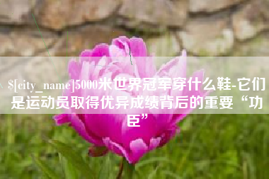 韩城5000米世界冠军穿什么鞋-它们是运动员取得优异成绩背后的重要“功臣”