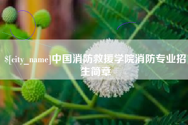 韩城中国消防救援学院消防专业招生简章