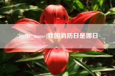 韩城我国消防日是哪日