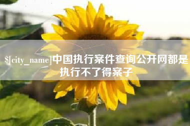 韩城中国执行案件查询公开网都是执行不了得案子