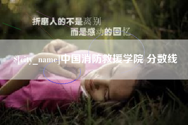 韩城中国消防救援学院 分数线