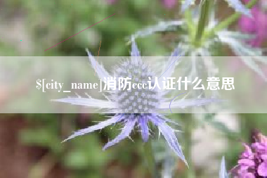 韩城消防ccc认证什么意思