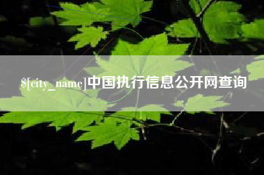 韩城中国执行信息公开网查询