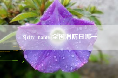 韩城全国消防日哪一