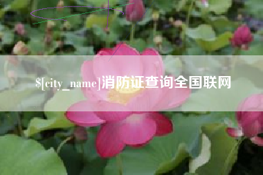 韩城消防证查询全国联网
