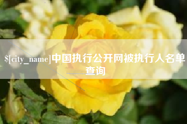韩城中国执行公开网被执行人名单查询