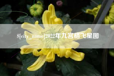 韩城2022年九宫格飞星图