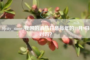 韩城我国的消防日是每年的11月9日对吗？