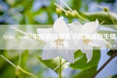 韩城中国消防救援学院湖南招生情况公布
