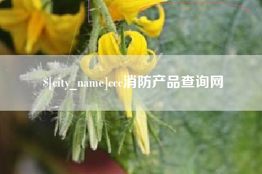 韩城ccc消防产品查询网