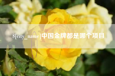 韩城中国金牌都是哪个项目