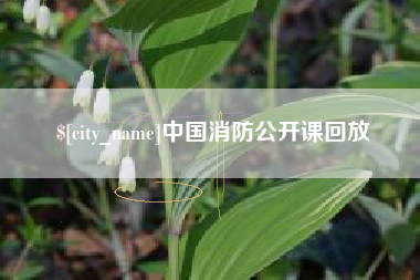韩城中国消防公开课回放