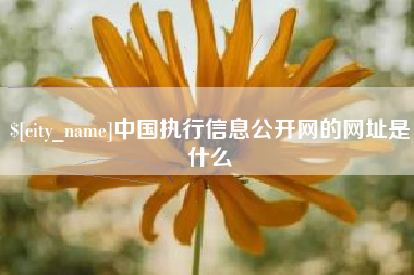 韩城中国执行信息公开网的网址是什么