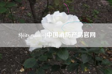 韩城中国消防产品官网