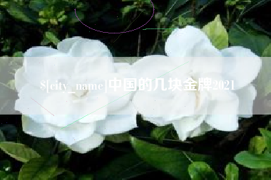 韩城中国的几块金牌2021