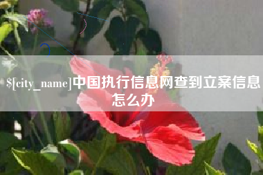 韩城中国执行信息网查到立案信息怎么办