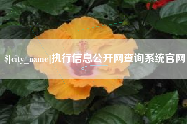 韩城执行信息公开网查询系统官网