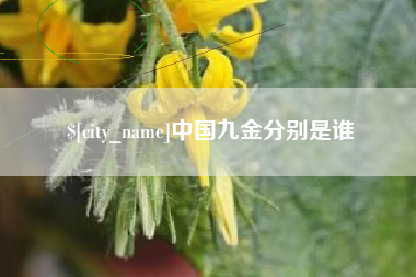 韩城中国九金分别是谁
