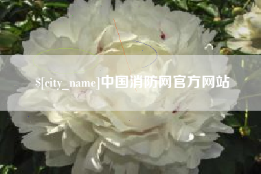 韩城中国消防网官方网站