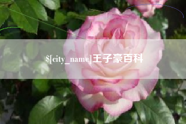 韩城王子豪百科
