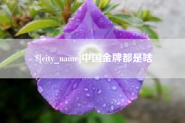 韩城中国金牌都是啥
