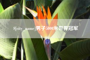 韩城男子5000米世界冠军