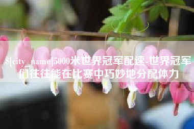 韩城5000米世界冠军配速-世界冠军们往往能在比赛中巧妙地分配体力