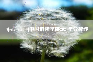 韩城中国消防学院2024年分数线