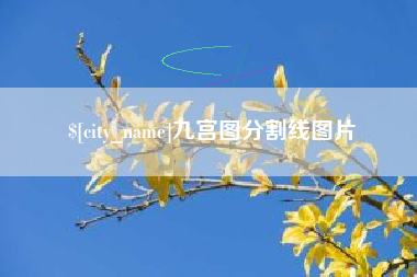韩城九宫图分割线图片