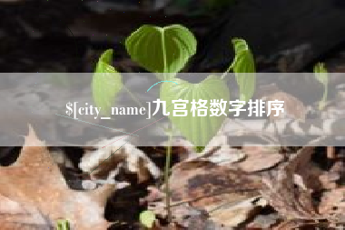 韩城九宫格数字排序
