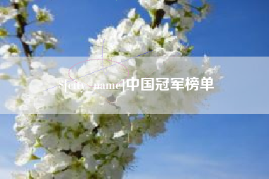 韩城中国冠军榜单