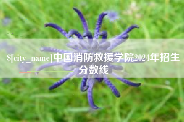 韩城中国消防救援学院2024年招生分数线