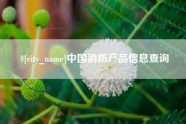 韩城中国消防产品信息查询