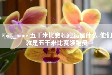 韩城五千米比赛领跑员是什么-他们就是五千米比赛领跑员