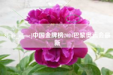 韩城中国金牌榜2024巴黎奥运会最新