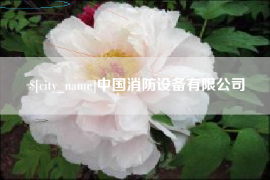 韩城中国消防设备有限公司