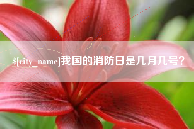 韩城我国的消防日是几月几号？