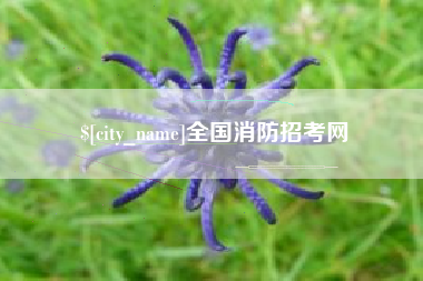 韩城全国消防招考网