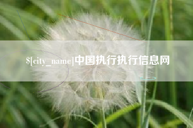 韩城中国执行执行信息网