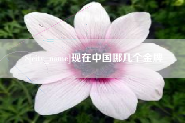 韩城现在中国哪几个金牌