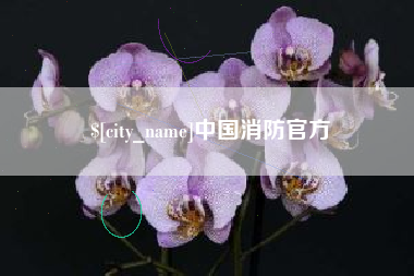 韩城中国消防官方