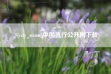 韩城中国执行公开网下载