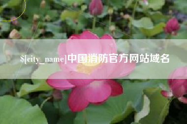 韩城中国消防官方网站域名