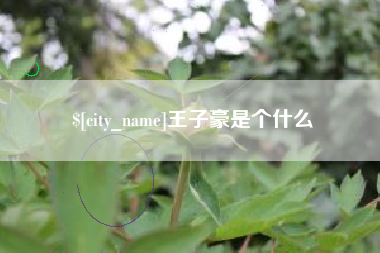 韩城王子豪是个什么
