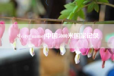 韩城中国5000米国家记录