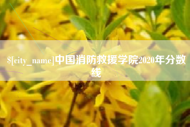 韩城中国消防救援学院2020年分数线