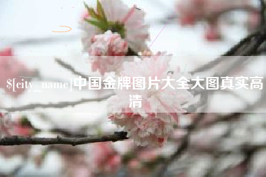 韩城中国金牌图片大全大图真实高清