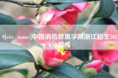 韩城中国消防救援学院浙江招生2020分数线