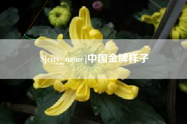 韩城中国金牌样子